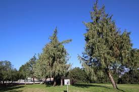 Parc de l'eco-vallee